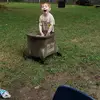 Monica Starkey - @monica.starkey - TikTok