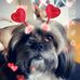 Monica Stecksen - Facebook