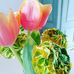 Monika Steck - Facebook