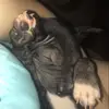 Monica - @monica.sumnerr - TikTok