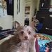 Monica Way - Facebook