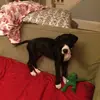 Monica Whaley - @monica.whaley6 - TikTok