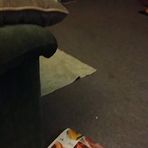 Monica Whitlatch - Facebook
