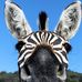 Monica Witt - Facebook