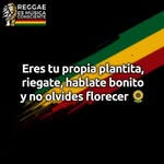 Monick Lopez - @moni.camacho.393 - Instagram