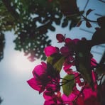 Monideepa Chatterjee - Facebook