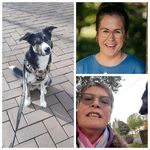 Monika Eckert - @monika.eckert.39 - Instagram