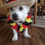 Monika Petersen - @monika.petersen.372 - Instagram