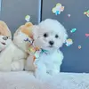 Monika mit Herz - @monikaschultz - TikTok