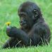 Monika Templin - Facebook
