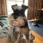 Monika Ware - Facebook