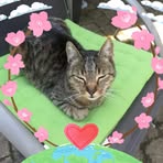 Monique Beaudoint - Facebook