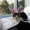 Monique Berens - @monique.berens - TikTok
