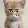 Monique.Berger - @moniquebergerdqyhdfsx - TikTok