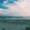 Monique Berry💘 - @berrymonique - TikTok