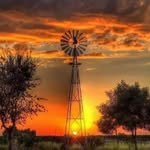 Monique Botha - @smt_pet - Instagram