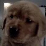 Monique Bouchard - @monique.comptable - Instagram