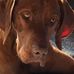 Monique de Brock - Facebook