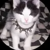 MoniqueCaldwell - @moniquecaldwell14 - TikTok