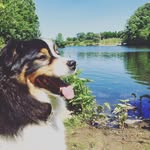 Monique Coates Summers - @modogsdabetter1 - Instagram