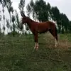 MoniqueConway - @ohoegovi2yl - TikTok