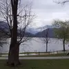 Monique Delong - @monique.delong - TikTok