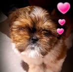 Monique Dupas - Facebook
