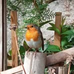 Monique Dupas - Facebook