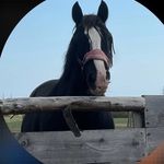 Monique Eason - @monique.eason7 - Instagram