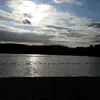 moniqueebert - @moniqueebert - TikTok