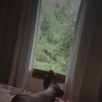 Monique Ervin - @moniqueervinxaozi - Instagram