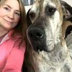 Monique Gagnon German - Facebook