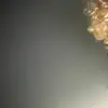 Monique Gorman - @monique.gorman - TikTok