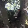 Monique Hammer - @moniquehammer5 - TikTok