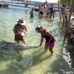 Monique Blinman - @moniqueblinman - Instagram