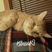 Monique Mullen - Facebook
