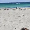 Monique Jordan - @moniquejordan07 - TikTok