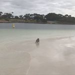 Monique K - @monique.knox.75 - Instagram