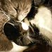 Monique Lemay - Facebook