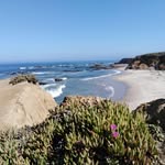 LEMAIRE MONIQUE - @moniquelemaire1944 - Instagram