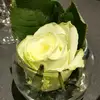 Monique Lorenz - @moni_lori72 - TikTok