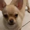 moniquemathis55 - @moniquemathis55 - TikTok