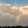 Monique - @monique.mayer1 - TikTok