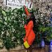 Monique Mcfadden - Facebook