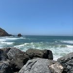 Dr. Monique Morton - @dr.moniquemorton - Instagram