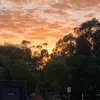 Monique Newman505 - @monique_newman19 - TikTok