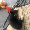 Avion - @moniqueontiveros3 - TikTok