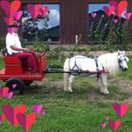 Monique Plourde - @monique.plourde.52 - Instagram