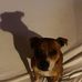 Monica Priestley - Facebook