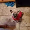 moniquequevedo155 - @moniquequevedo155 - TikTok